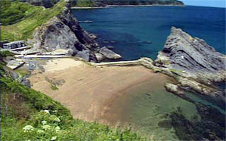 Aritzatxu