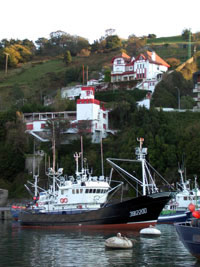 Kikunbera